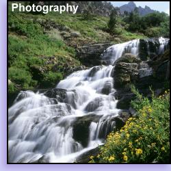 Wilderness Photography Seminars and Workshops - LeeLin Llama Treks